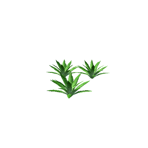 small plant2